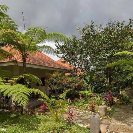 Ara Garden Inn, Accommodation, Yoga Studio & Spa Ruteng Exterior photo