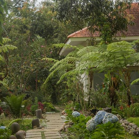 Ara Garden Inn, Accommodation, Yoga Studio & Spa Ruteng Exterior photo